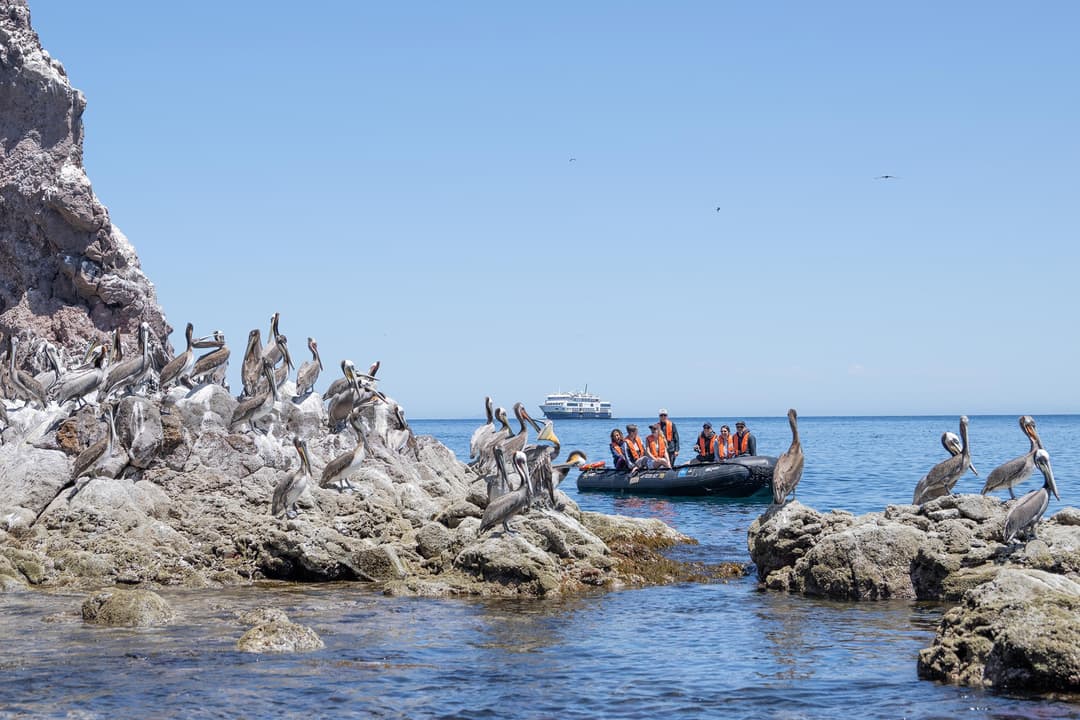10 Spectacular Birding Destinations Around the World - Article