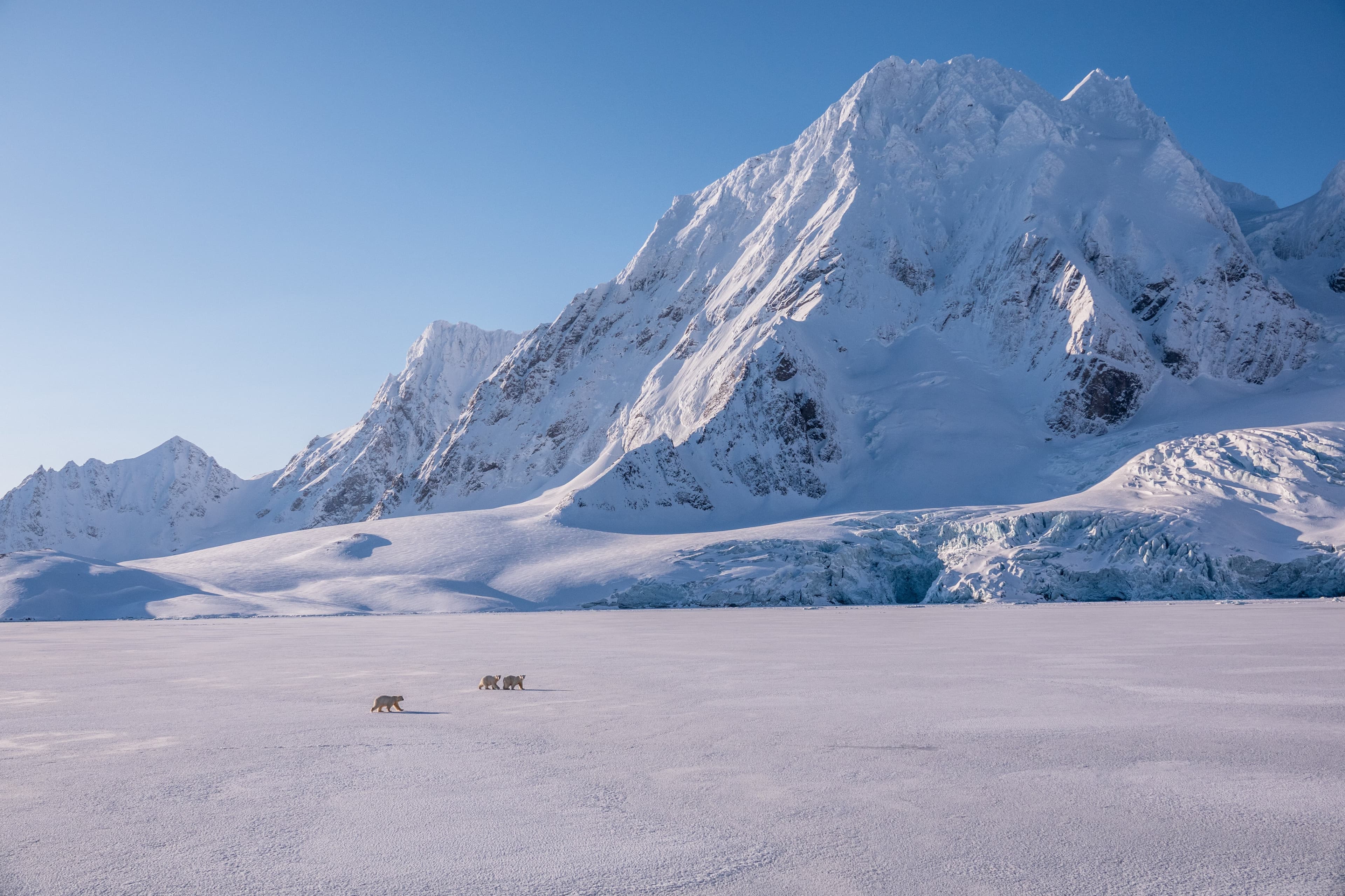 Large RGB-LEX-Norway Svalbard DSC01285.jpg