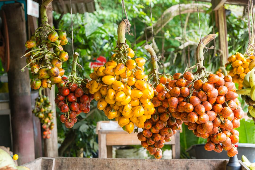 Costa Rica's Culinary Renaissance: Putting a Modern Twist on Tradition - Article