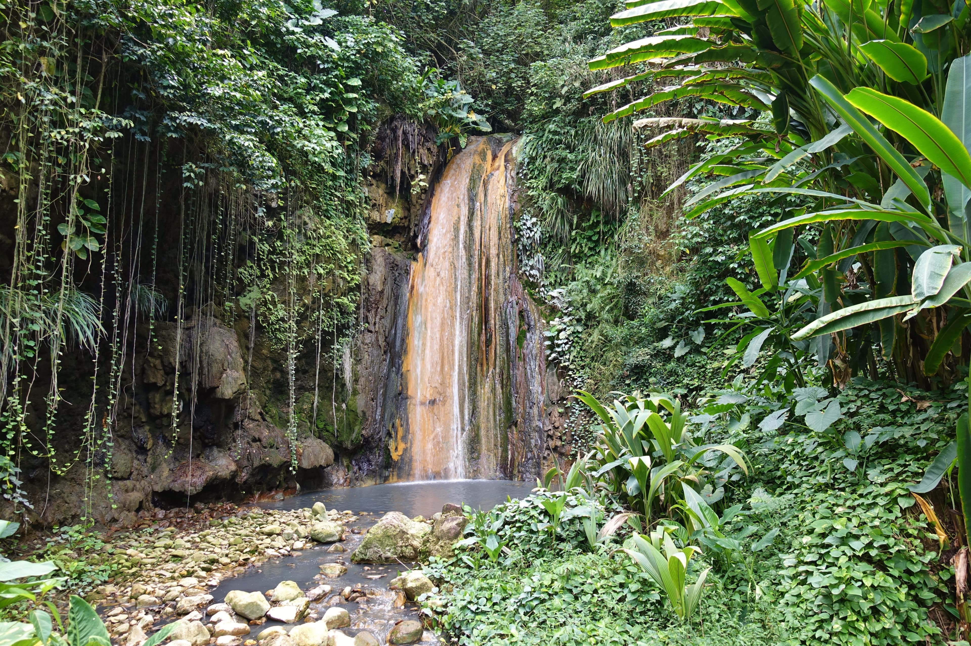 Large RGB-LEX-St. Lucia Diamond Botanical Gardens shutterstock 1678402120.jpg