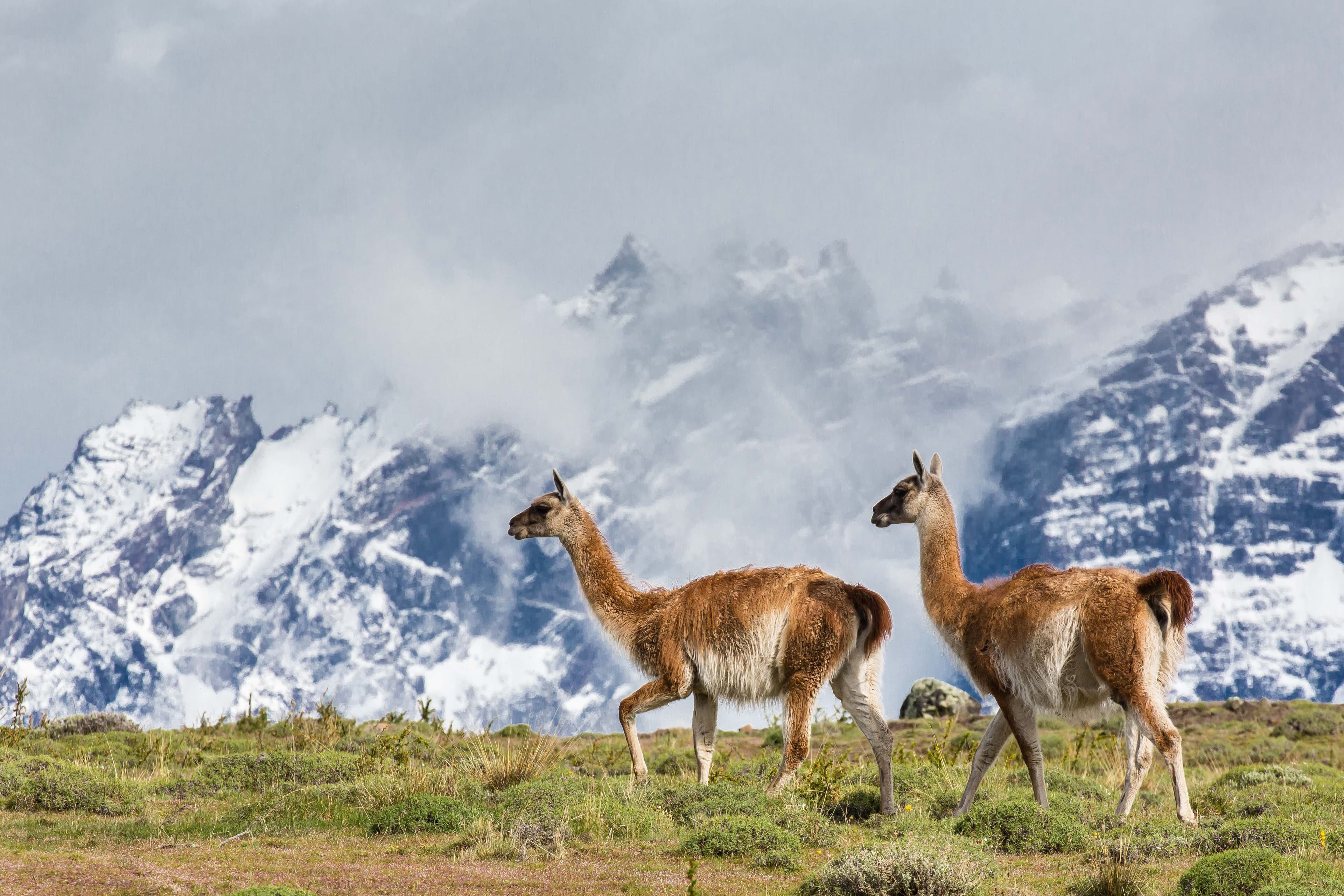 Hero Image Large RGB-LEX-Chile Patagonia 1012-034.jpg