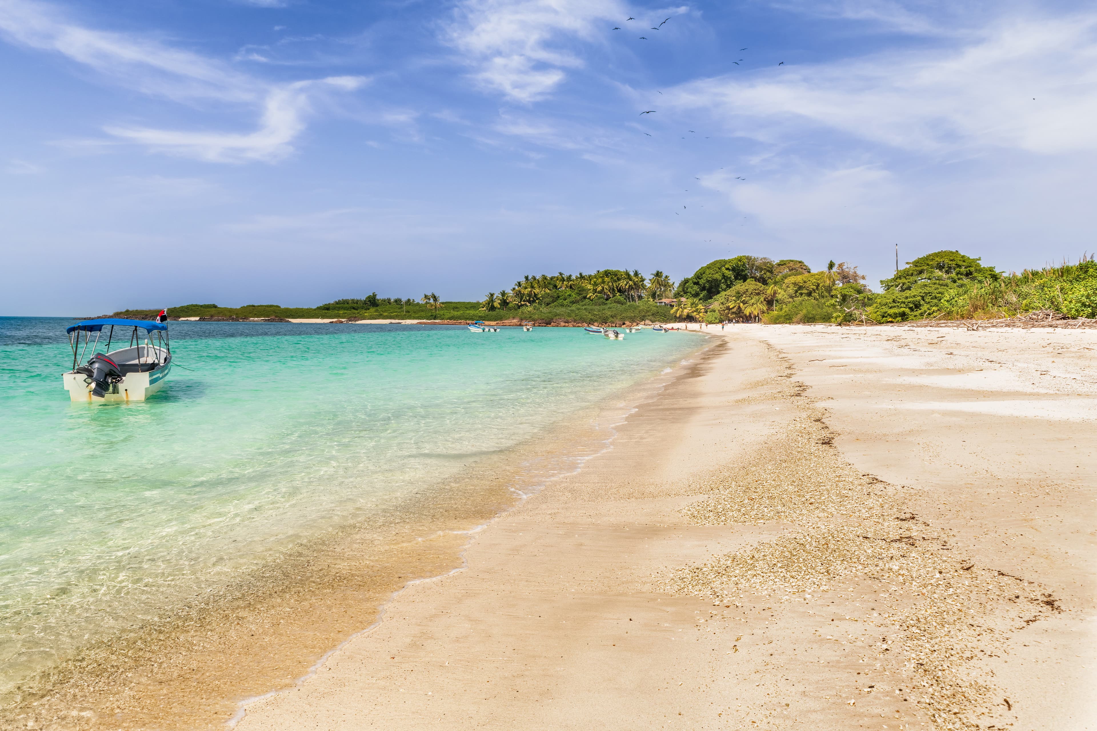 Hero Image Large RGB-LEX-Panama Iguana Island istock 1217838564.jpg