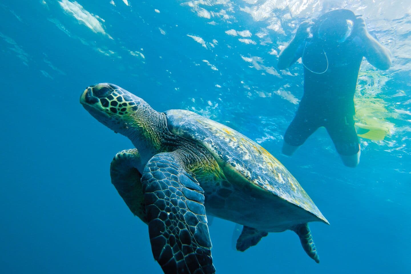 Large RGB-Lindblad Expeditions-Ecuador Galapagos GL481.jpg