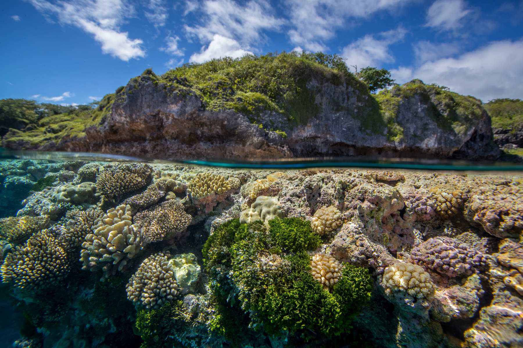 NGSPS2016NIUE_ManuSanFélix_25092016_307425092016.JPG