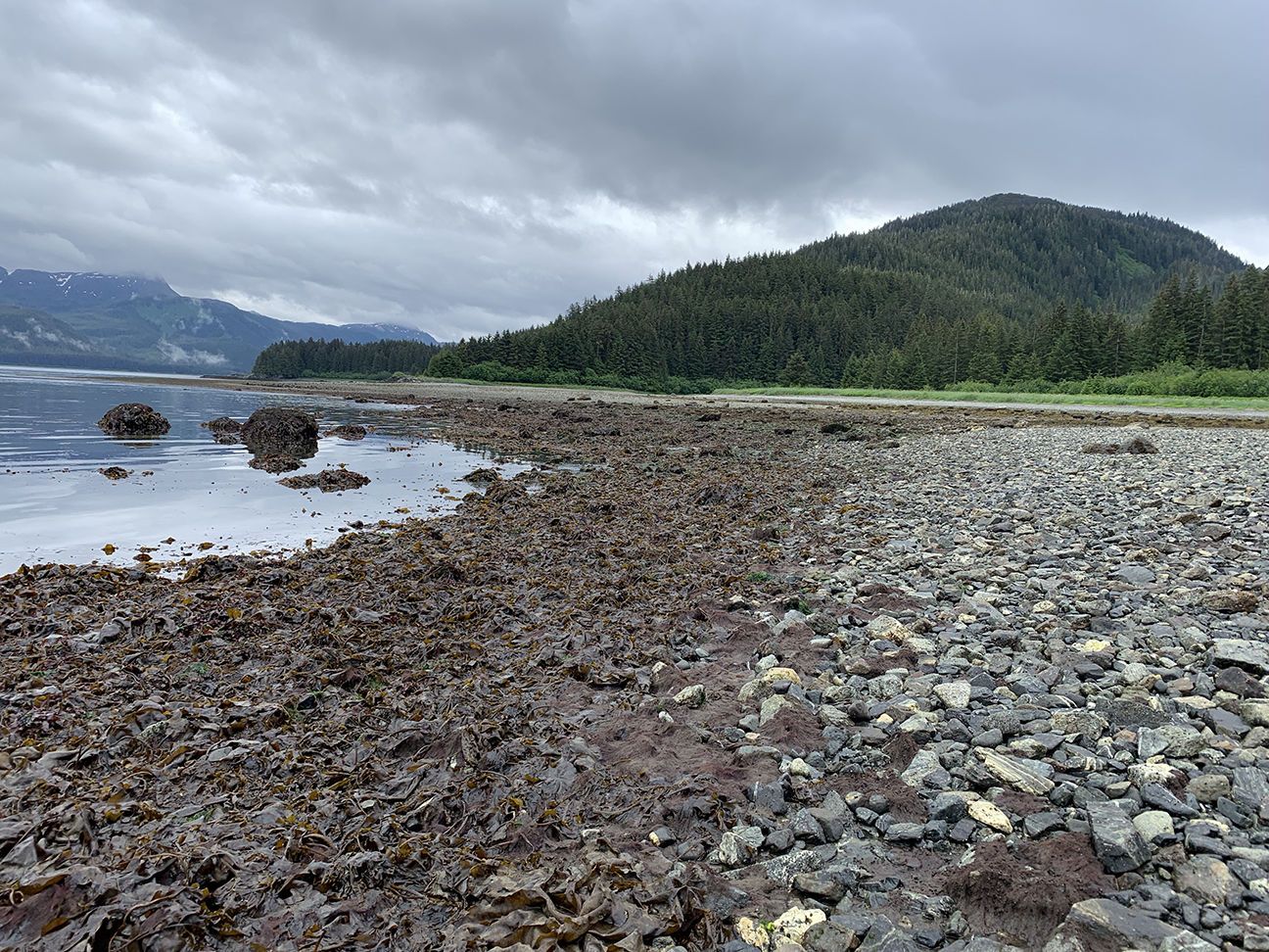 Alaska’s Fox Creek Chichagof Island Lindblad Expeditions